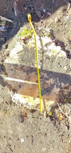 Stump diameter measured from above